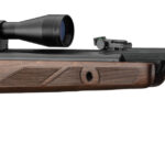 Carabine GAMO HUNTER 440 AS – Cal. 4,5 mm – 19,9 joules + Lunette 3-9 x 40 WR