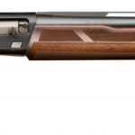 Fusil Winchester SX4 Field