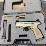 Steyr Arms Austria calibre 9×19 + malette + 2 chargeurs